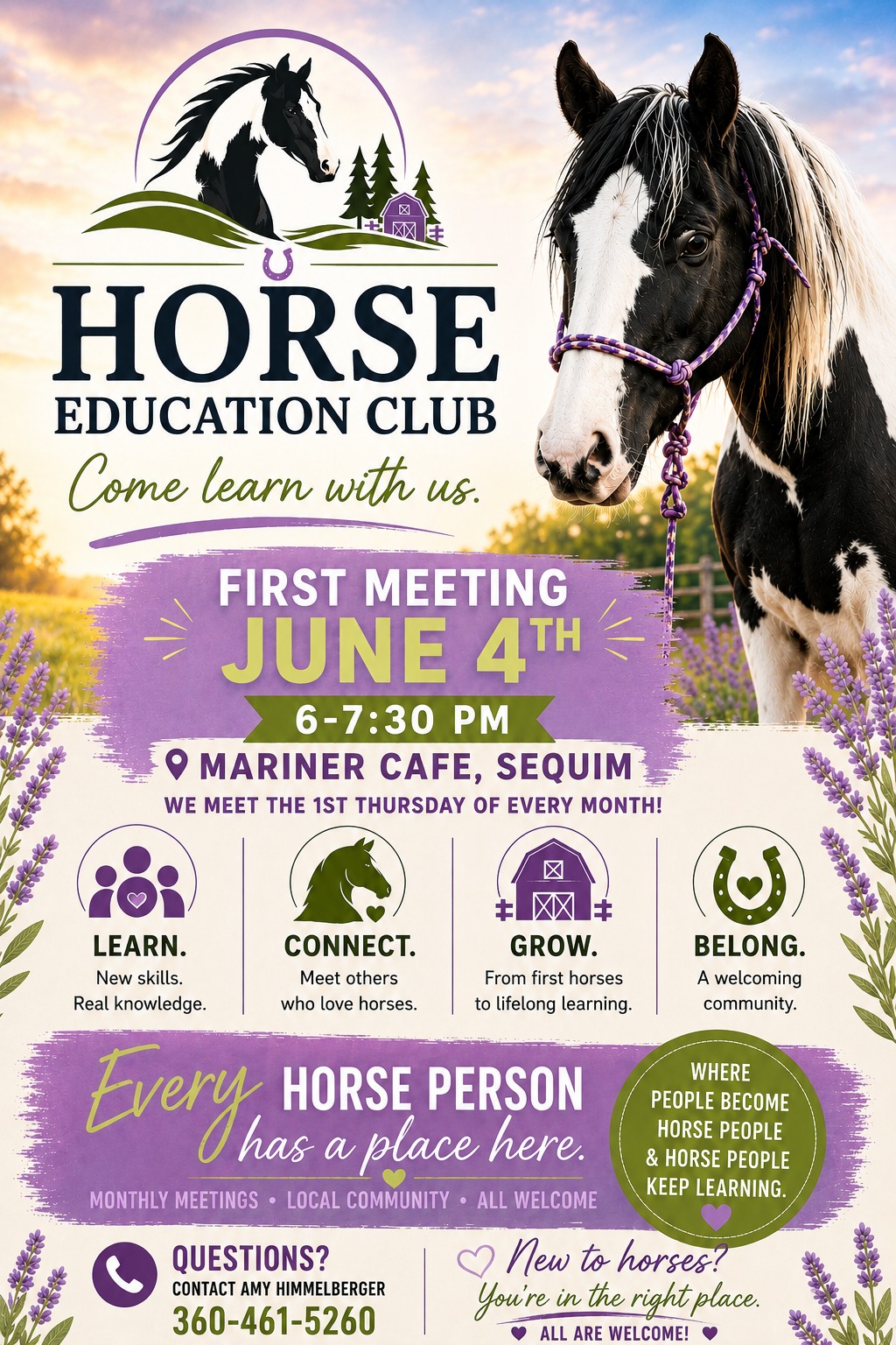 Horse Education Club flyer with black and white horse